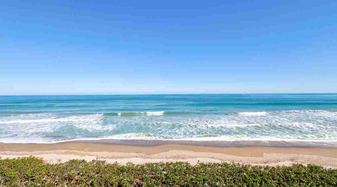 520B_Sand_Dollar_Shore-33