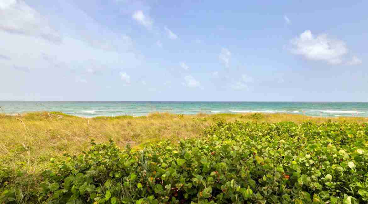 104E_Ocean_View-27