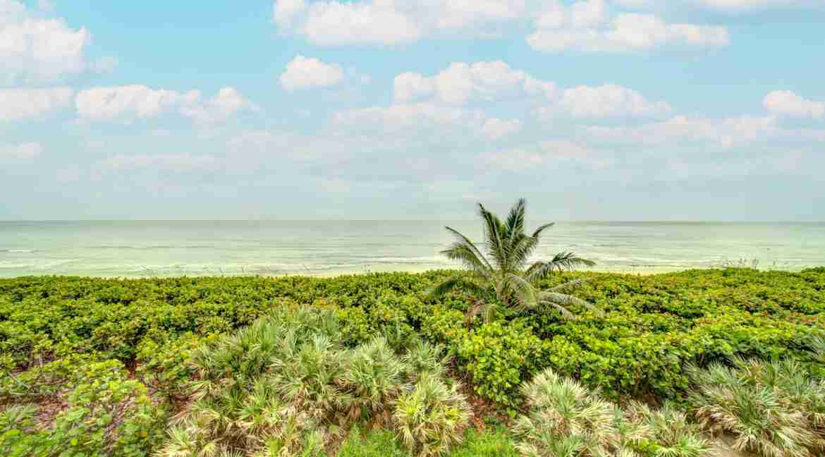 320A_Dune_Walk-25