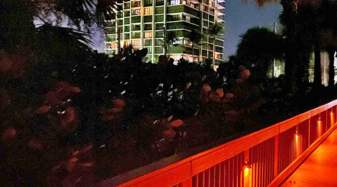 CONDO2
