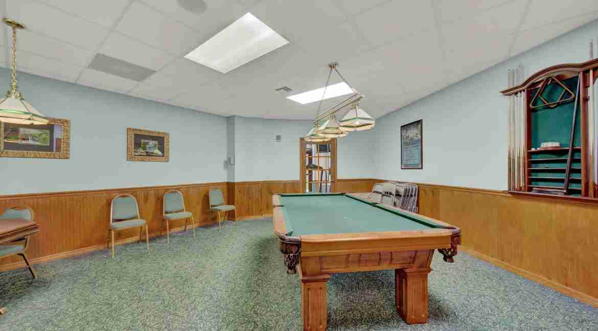 048 - Billiard 1 - Island Dunes I #206