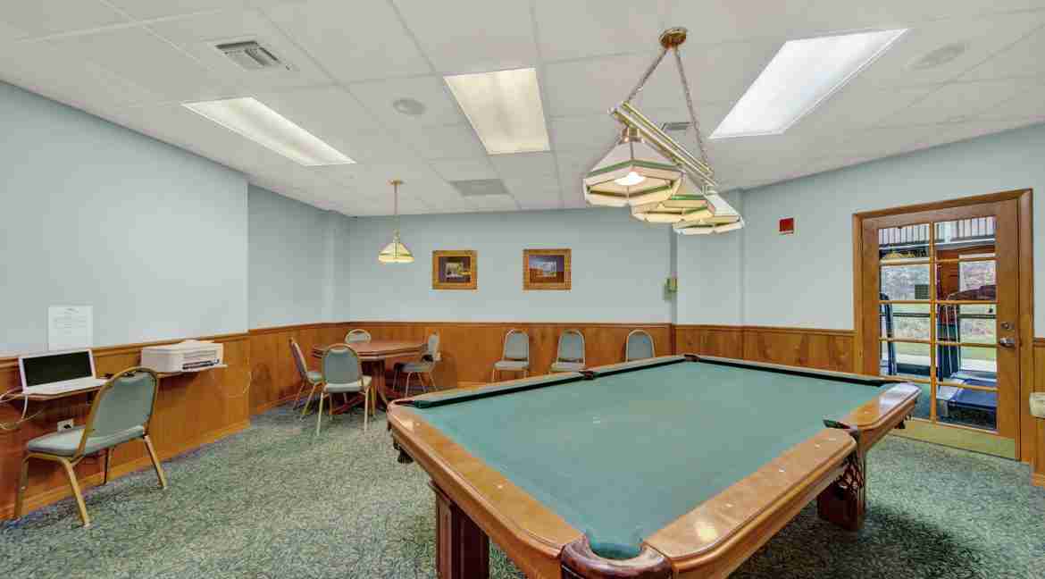 049 - Billiard 2 - Island Dunes I #206