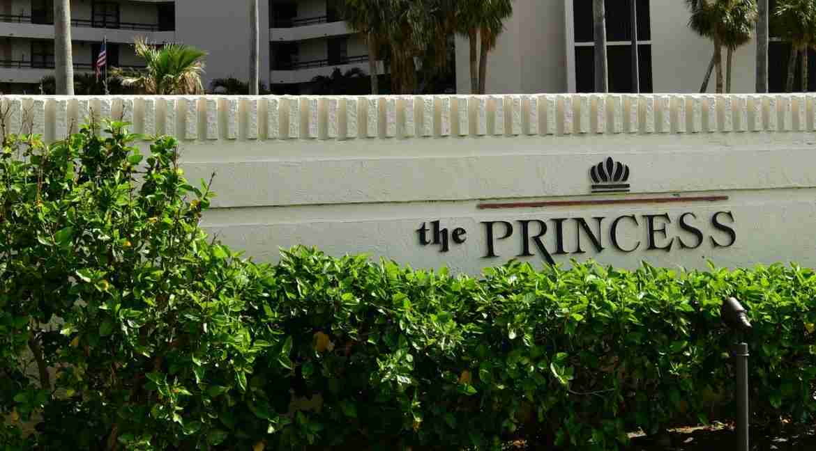 046 - Entry 1 -Princess (2017)
