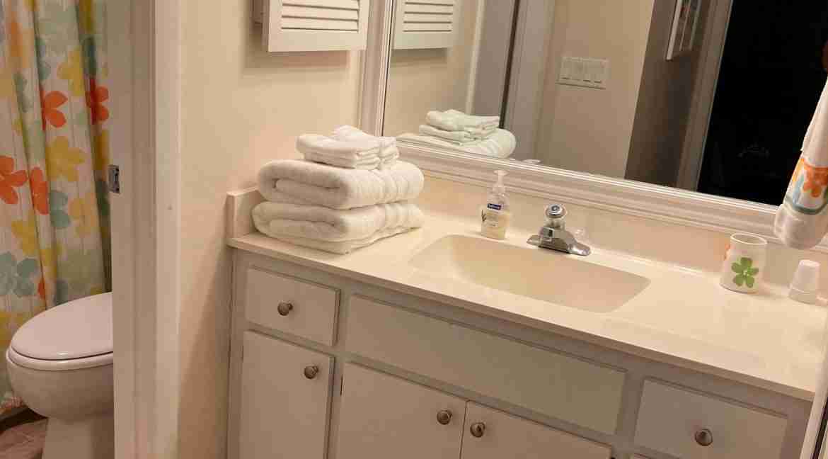New_Flr_Guest_Bath_Vertical